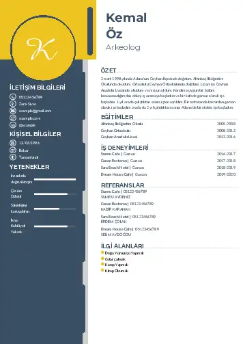 cv indir